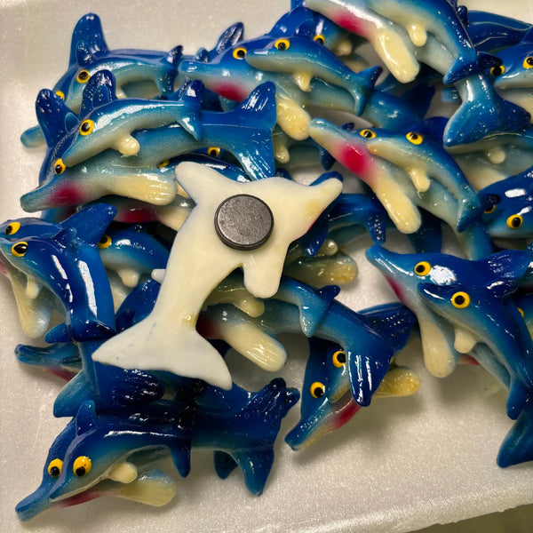 Dolphin with Baby Kitchen Magnet