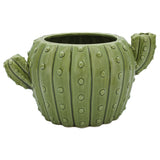 Cactus Planter