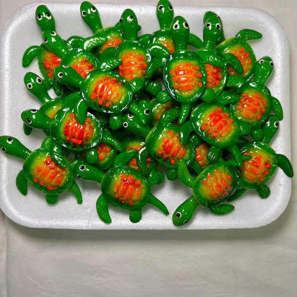 Turtle Kitchen Magnet