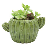 Cactus Planter