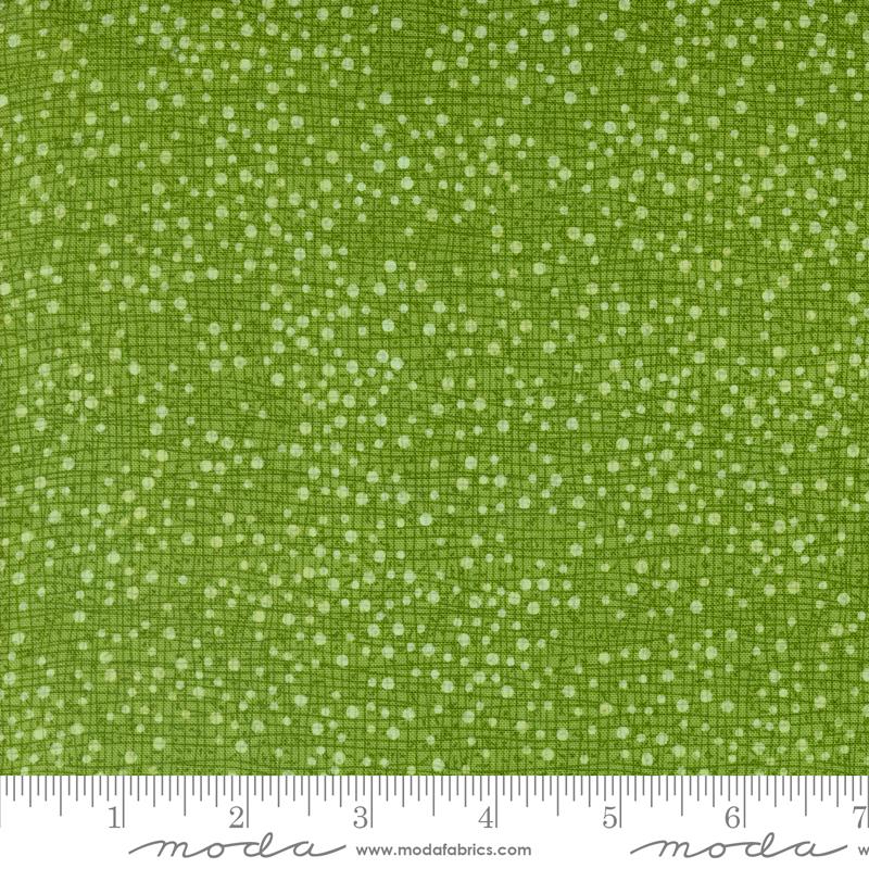 Dotty Thatched Grass - FQ