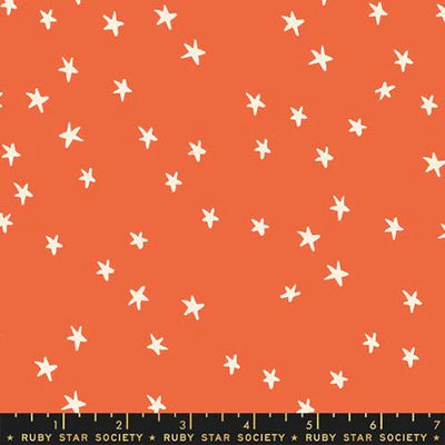 Starry Nutmeg - FQ