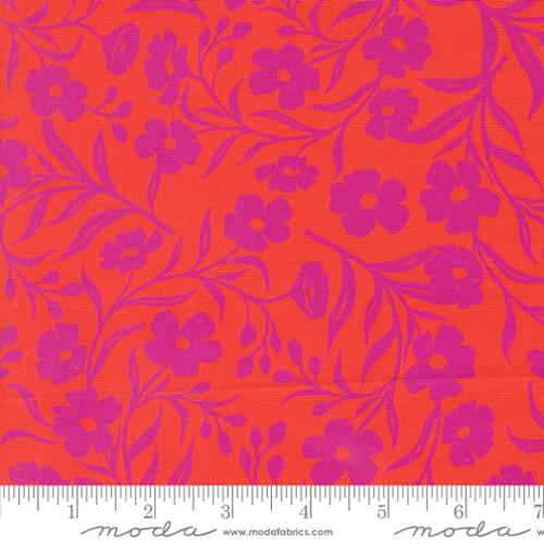 F2256 - Maeve Tanay Mandarin