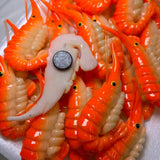 Shrimp Kitchen Magnet