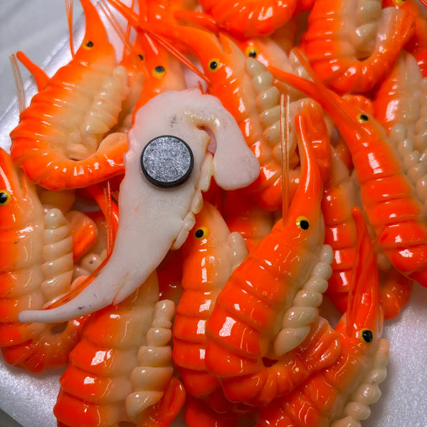 Shrimp Kitchen Magnet