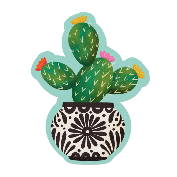 Cactus Talavera