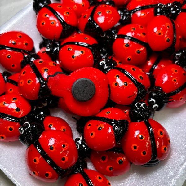 Ladybug Kitchen Magnet