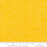 Pride Fat Quarter Bundle