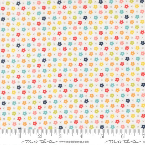 F2464 - Delightfully Yours Cloud