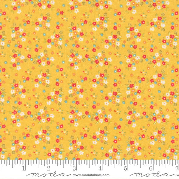 F2465 - Delightfully Yours Buttercup