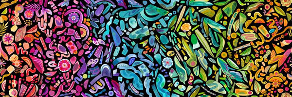 F2463 - Radiant Rainbow Midnight