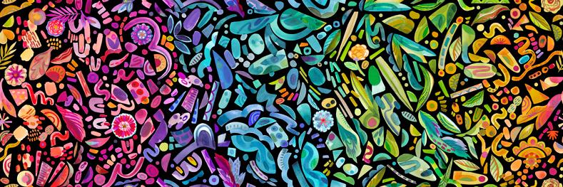 F2463 - Radiant Rainbow Midnight