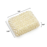 Sponges - Top Scrub- (1)