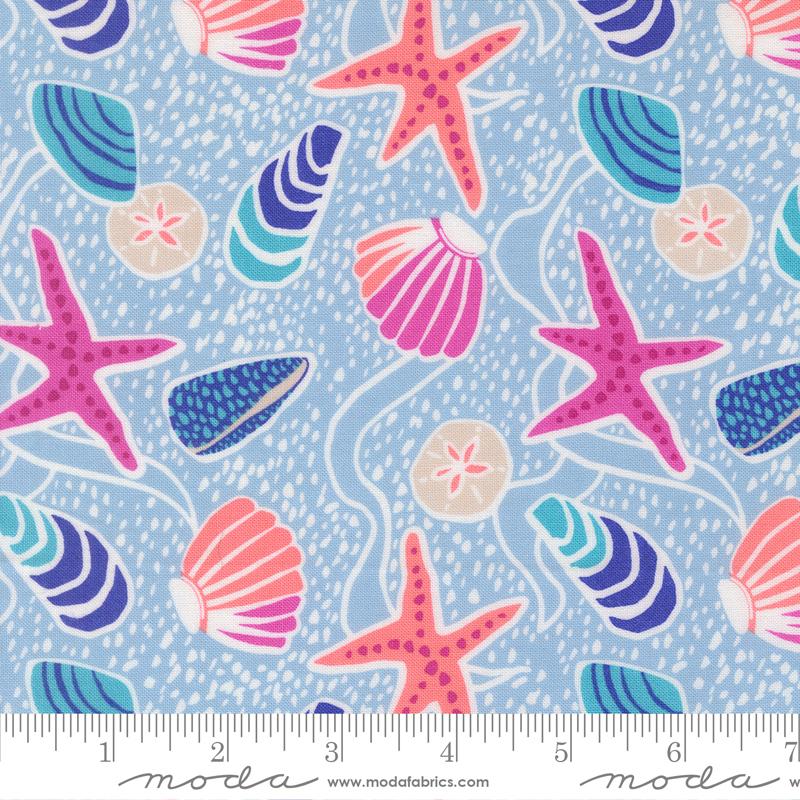 F2572 - Reef Sea Shells, Marlin