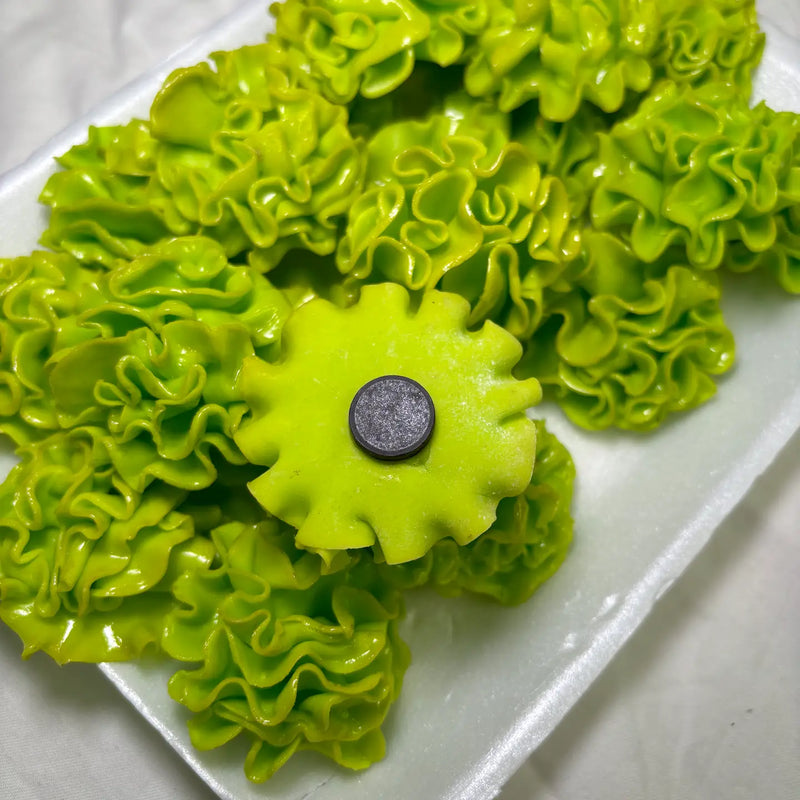 Lettuce Kitchen Magnet