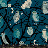 F3062 - Freaky Familiars - Owls - Galaxy