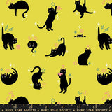 F3070 - Freaky Familiars - Catwalk Cats - Citron