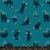 F3072 - Freaky Familiars - Catwalk Cats - Storytime