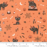 F3084 - Purrs and Boos - Witchy Cat - Pumpkin