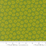 F3005 - Scenery Sedum - Limeade