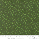 F3020 - Scenery Starlight - Cypress