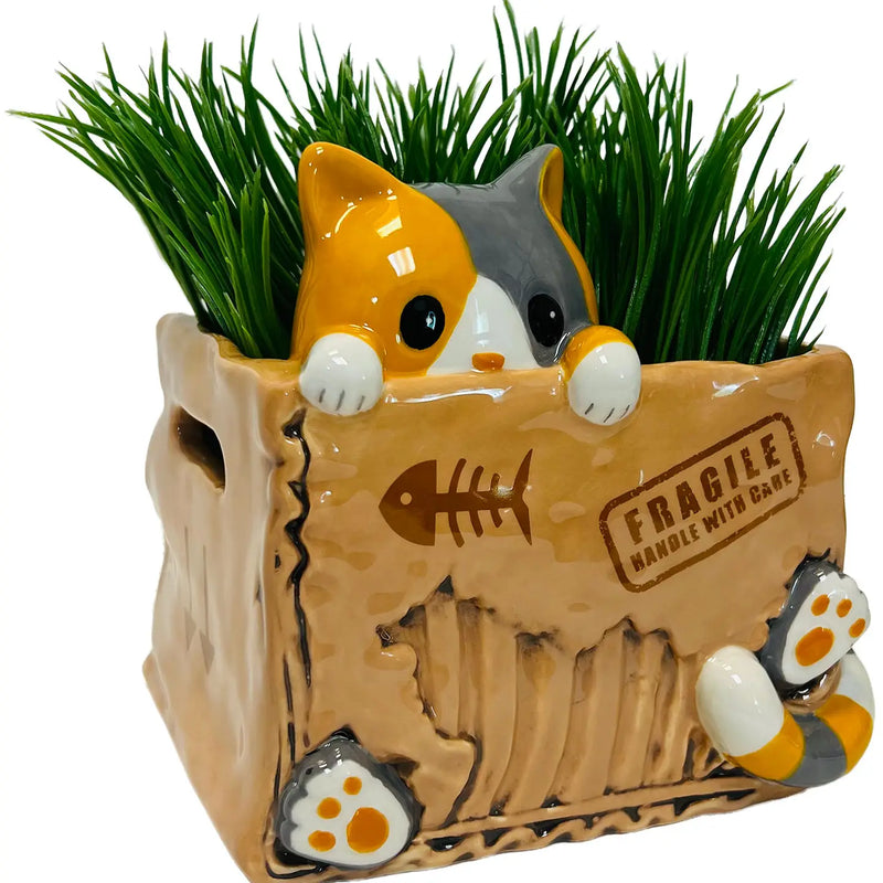 Cat in the Box Planter