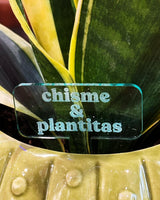 Acrylic Plant Stakes (12 Phrases)
