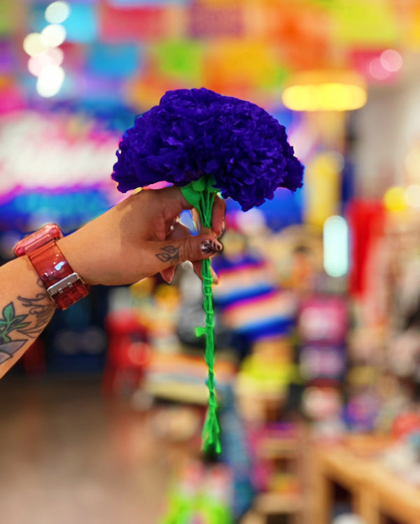 Purple Marigold Flowers