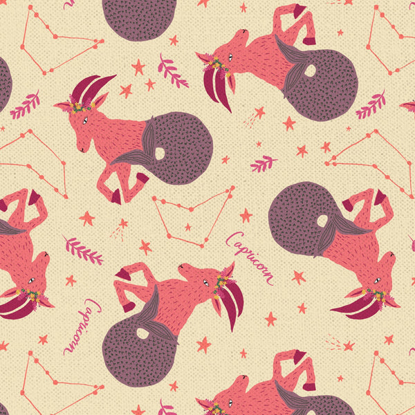 F2426 - Astrology Capricorn Zodiac Sign