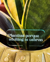 Acrylic Plant Stakes (12 Phrases)
