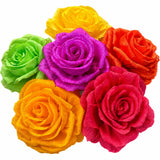 Paper Roses (6 Pack)