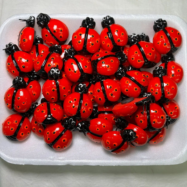 Ladybug Kitchen Magnet