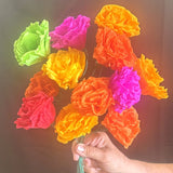 Paper Roses (1 Single)