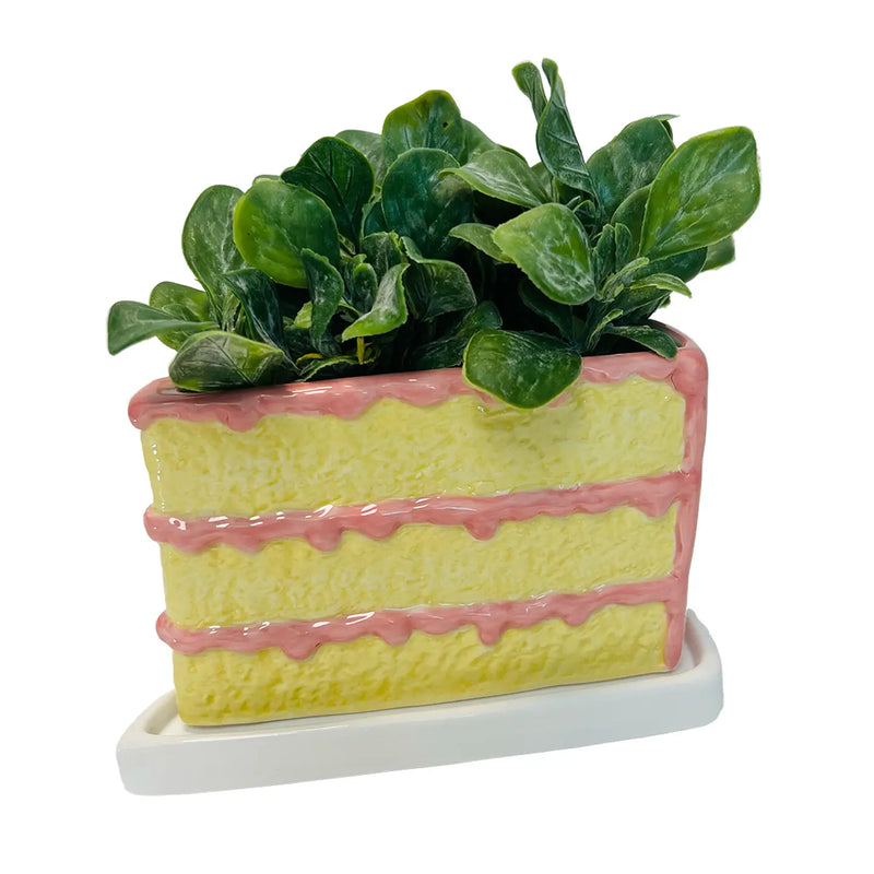 Slice of Pink Cake Planter
