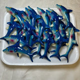 Blue Shark Kitchen Magnet