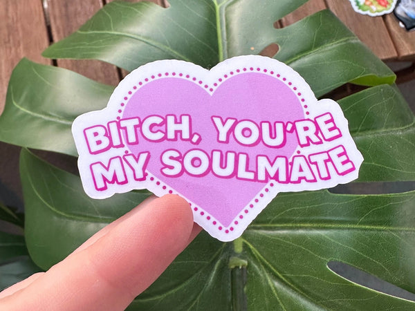 Bitch, You're My Soulmate Sticker