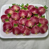 Sliced Onion Kitchen Magnet