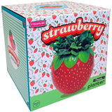Strawberry Planter