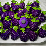 Purple Berries Kitchen Magnet