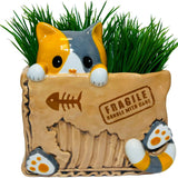 Cat in the Box Planter