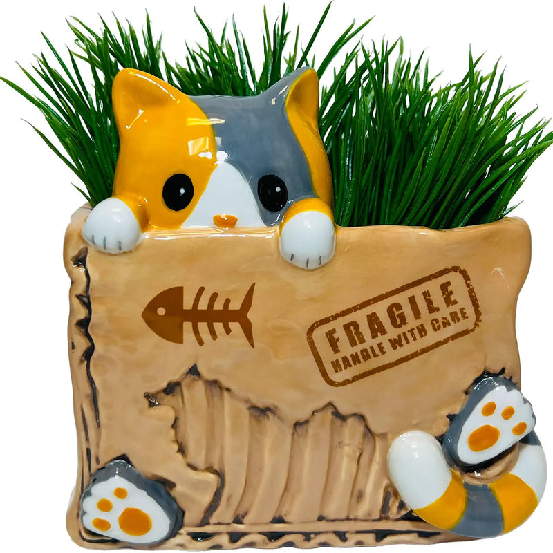 Cat in the Box Planter