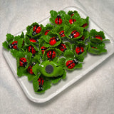 Ladybug on Leaf Kitchen Magnet