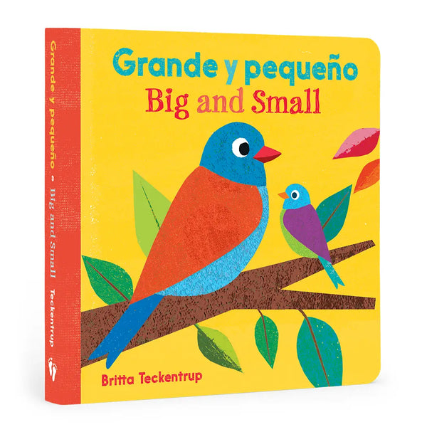 Grande Y Pequeño